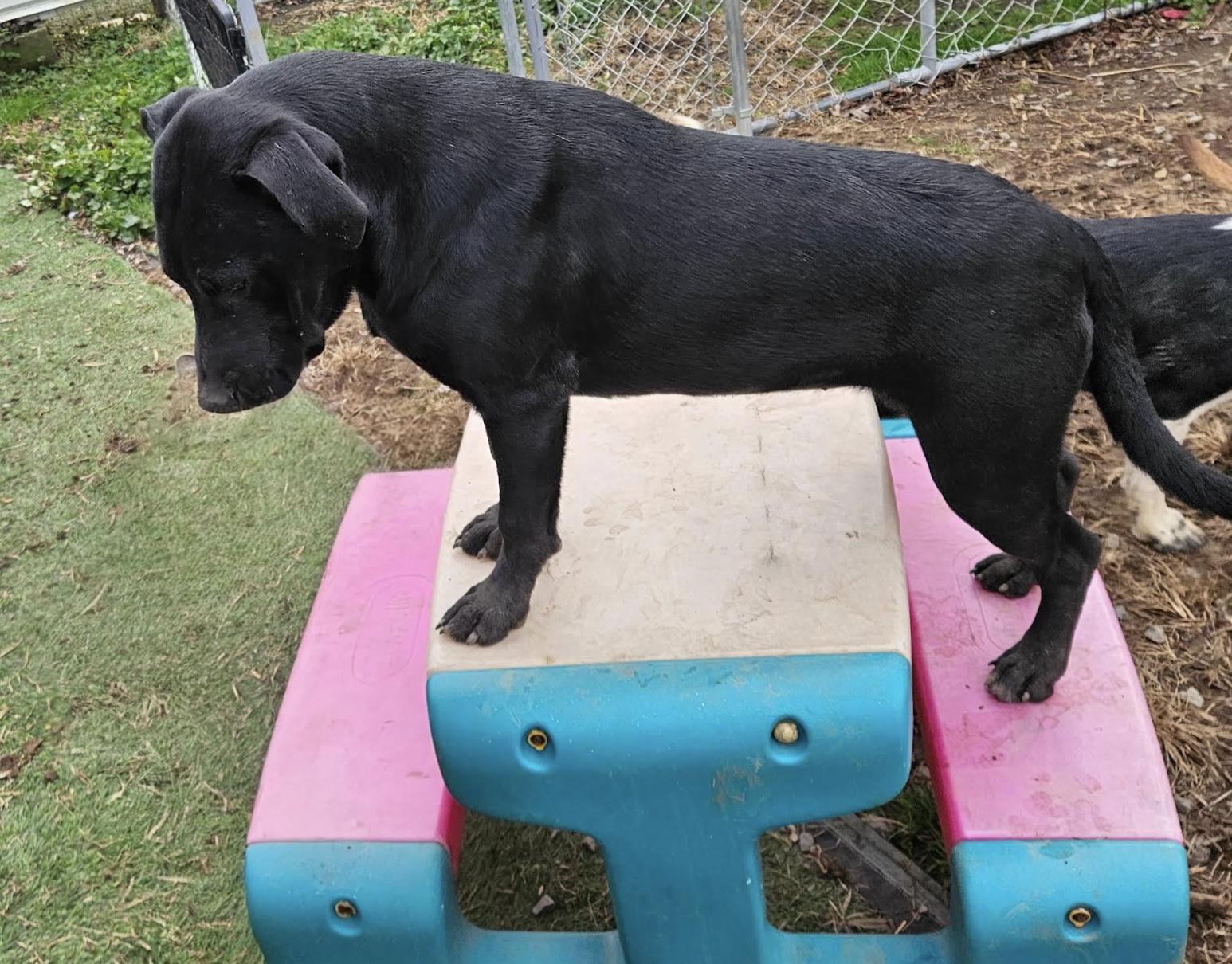 Wilma Wonderland thumbnail 2