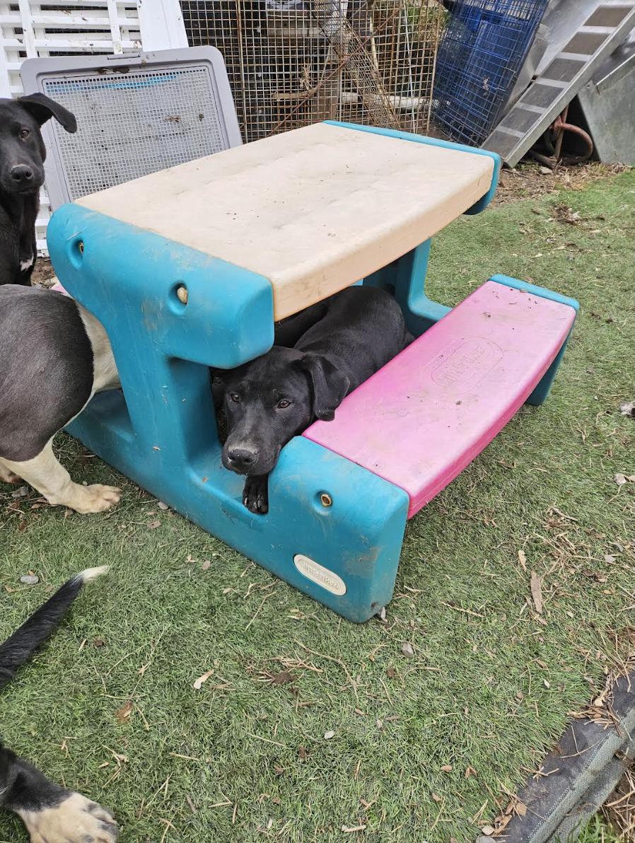 Wilma Wonderland thumbnail 4