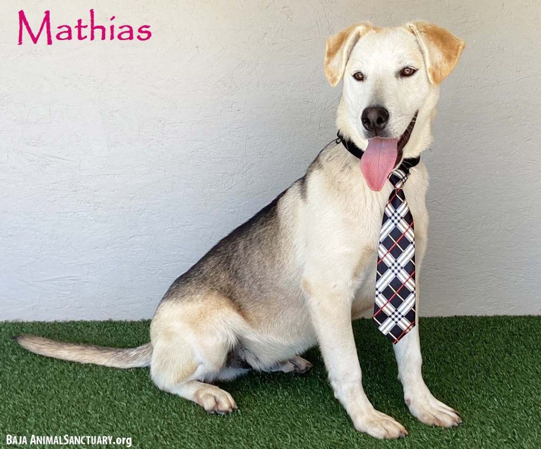 Mathias