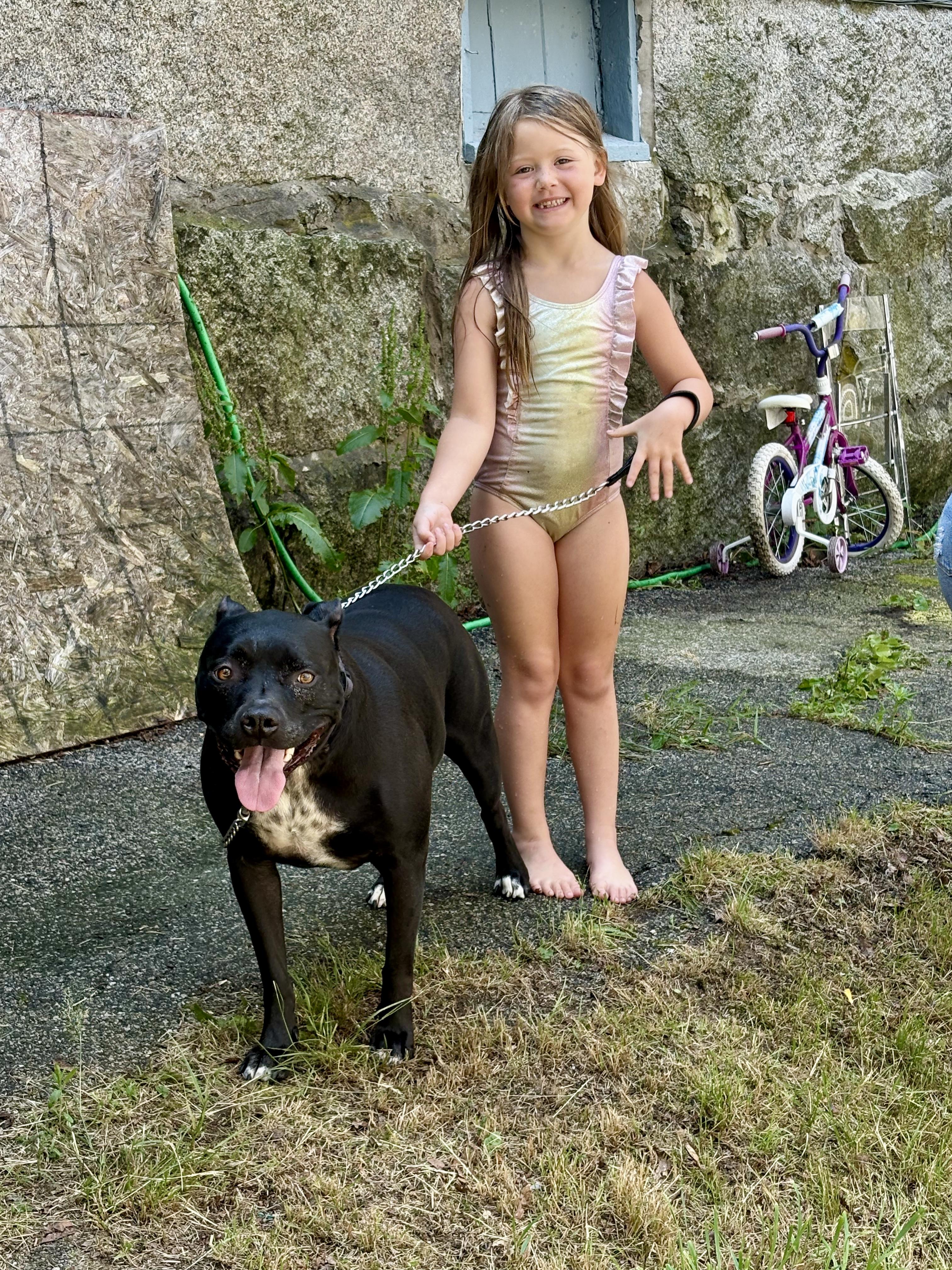 Enlarge TOPH (FEE SPONSORED), an adoptable mixed breed in Kennebunk , ME image 2/6