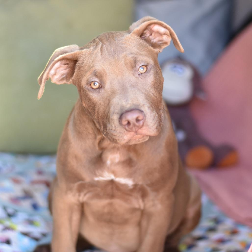 Casey — thumbnail 2