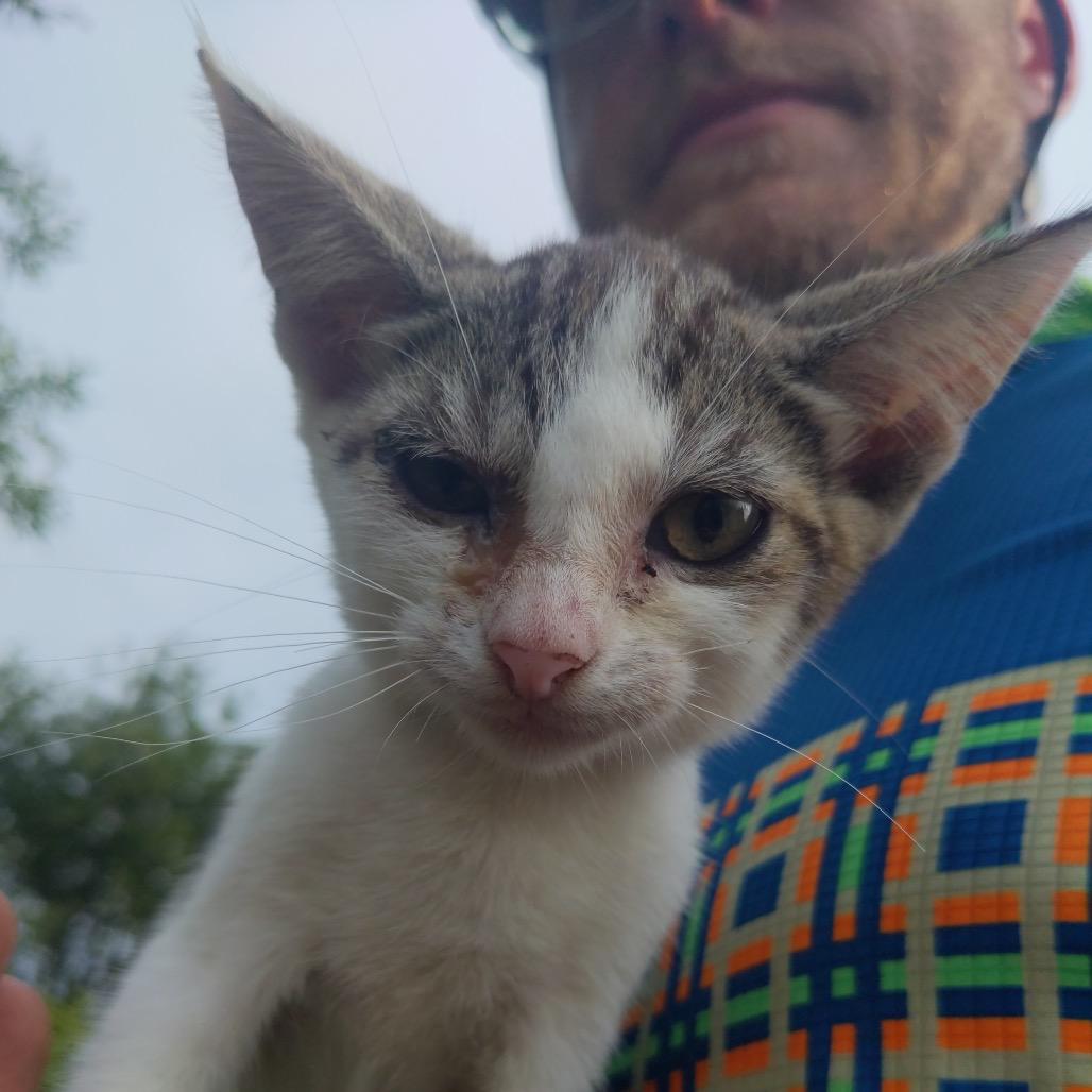 Biker Babe aka BB — thumbnail 4