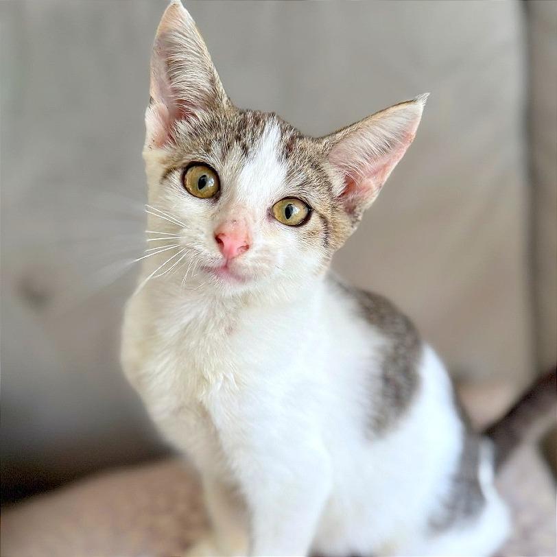 Biker Babe aka BB — thumbnail 5