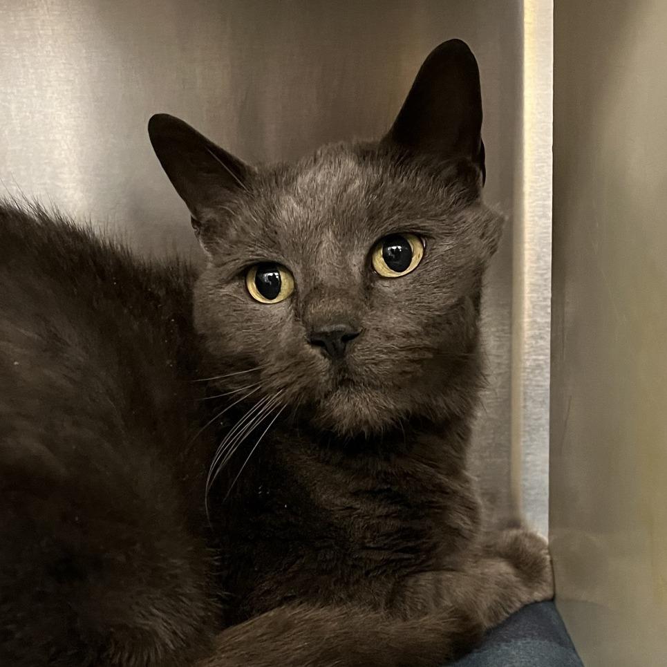 Louise — thumbnail 2