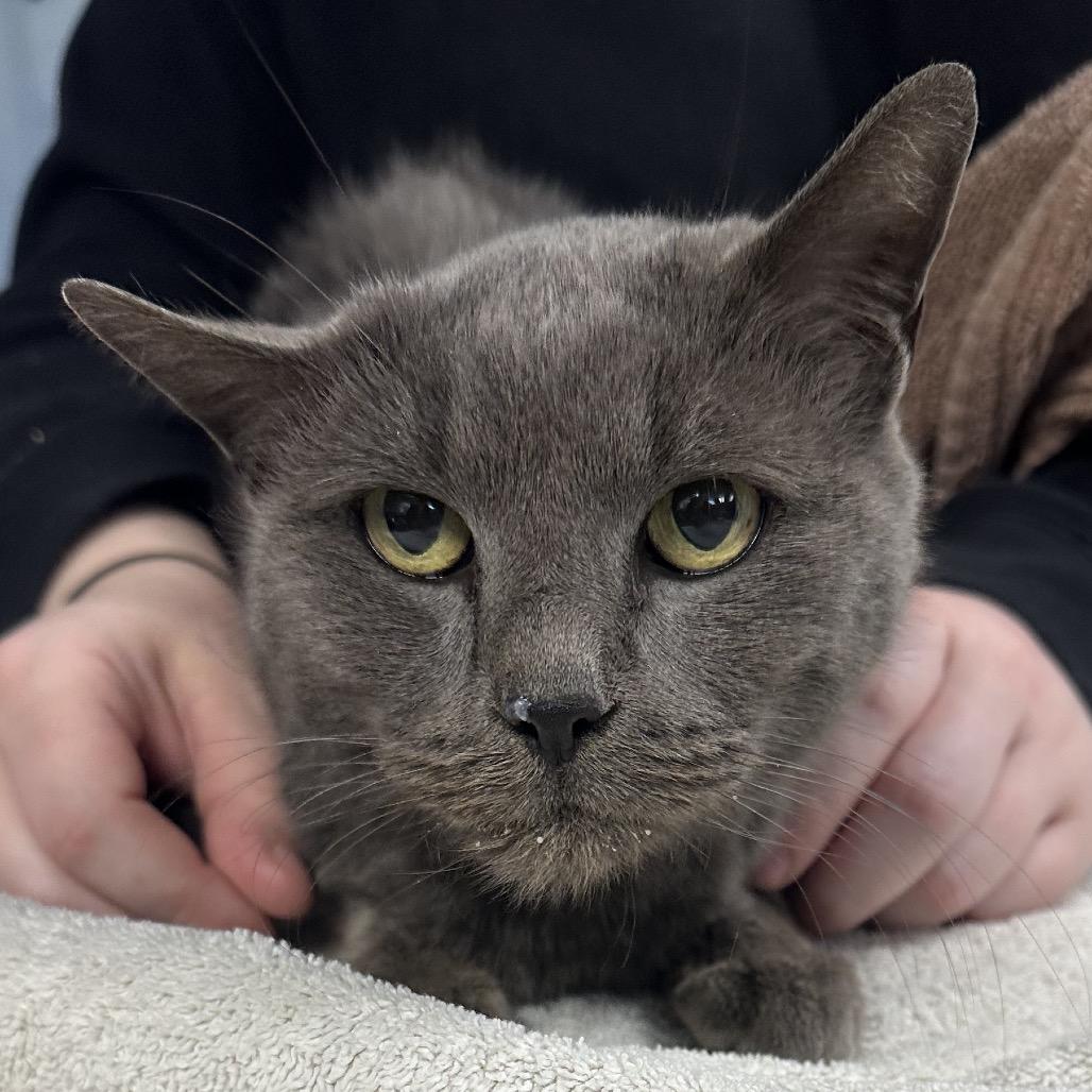 Louise — thumbnail 3