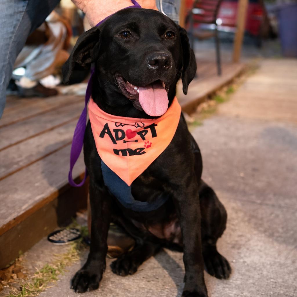 Felicia — thumbnail 2