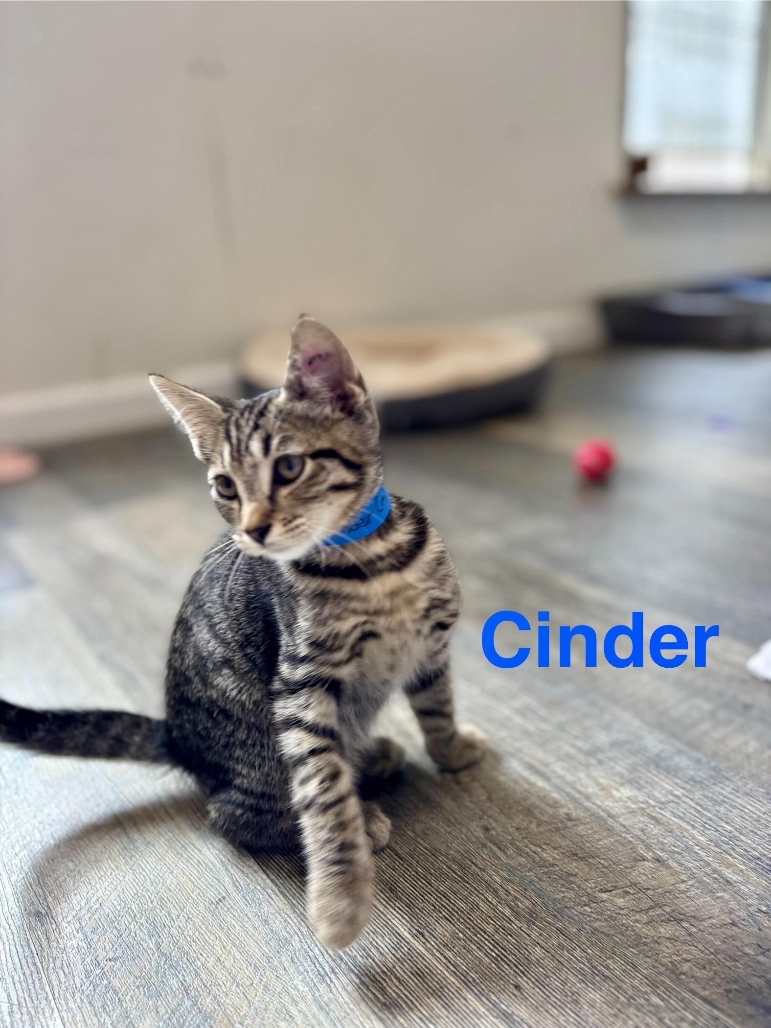 Cinder