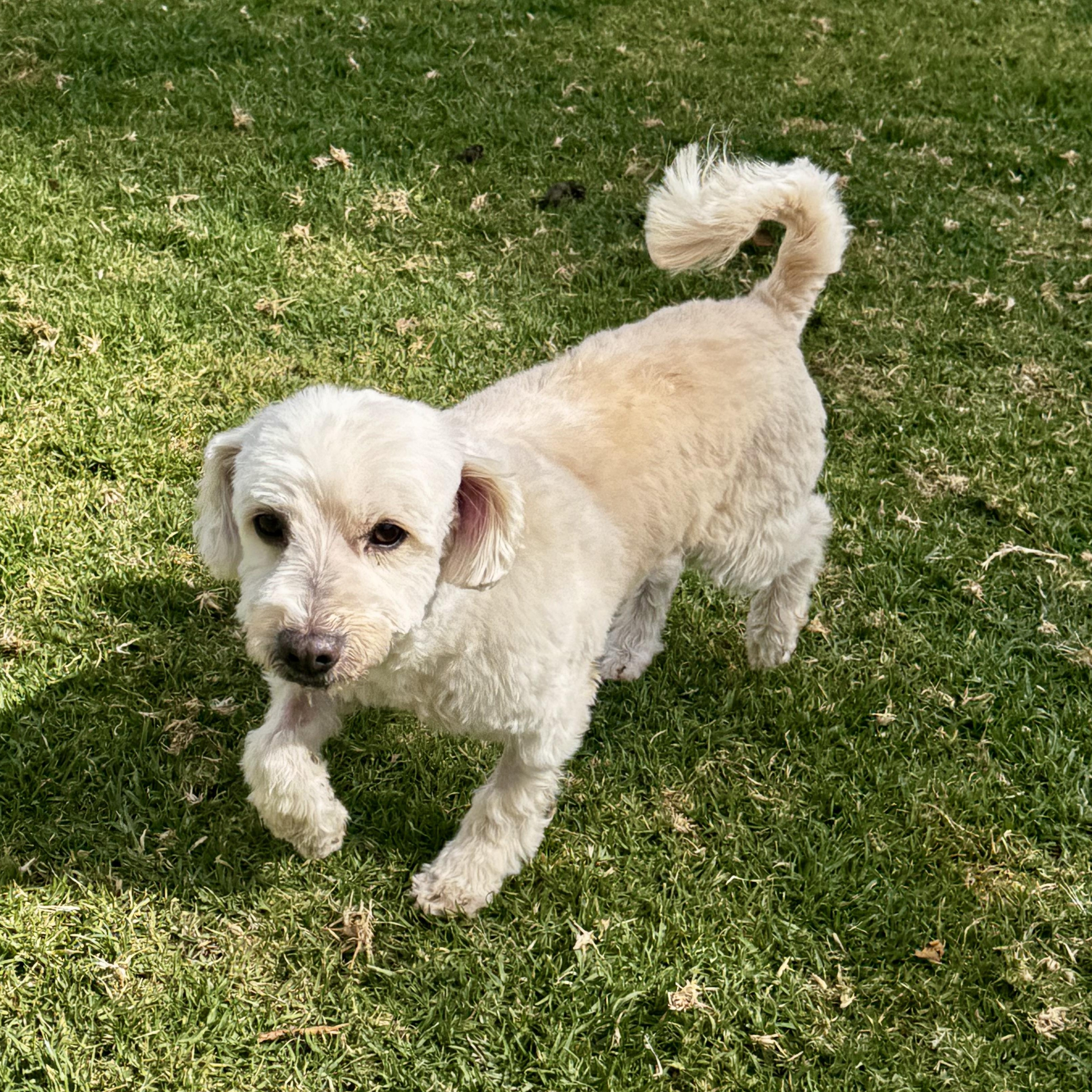 Snow — thumbnail 6