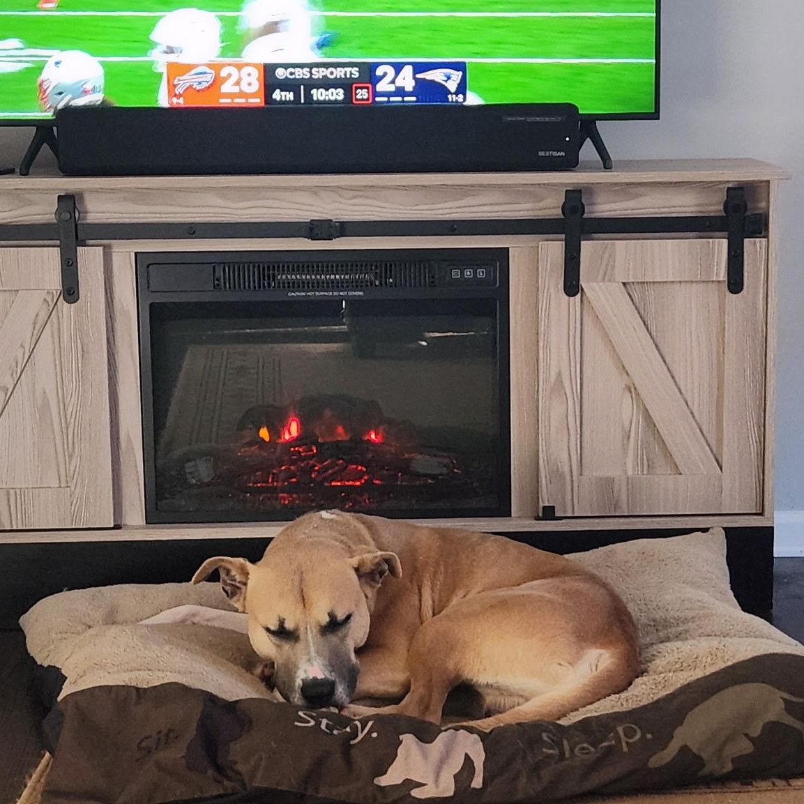 Enlarge Buddy, a Adoptable mixed breed in Roswell, GA image 2/4