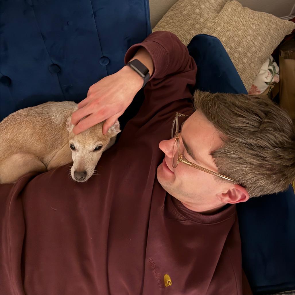 Enlarge Mic Drop 13978, a Adoptable Chihuahua in San Francisco, CA image 6/6