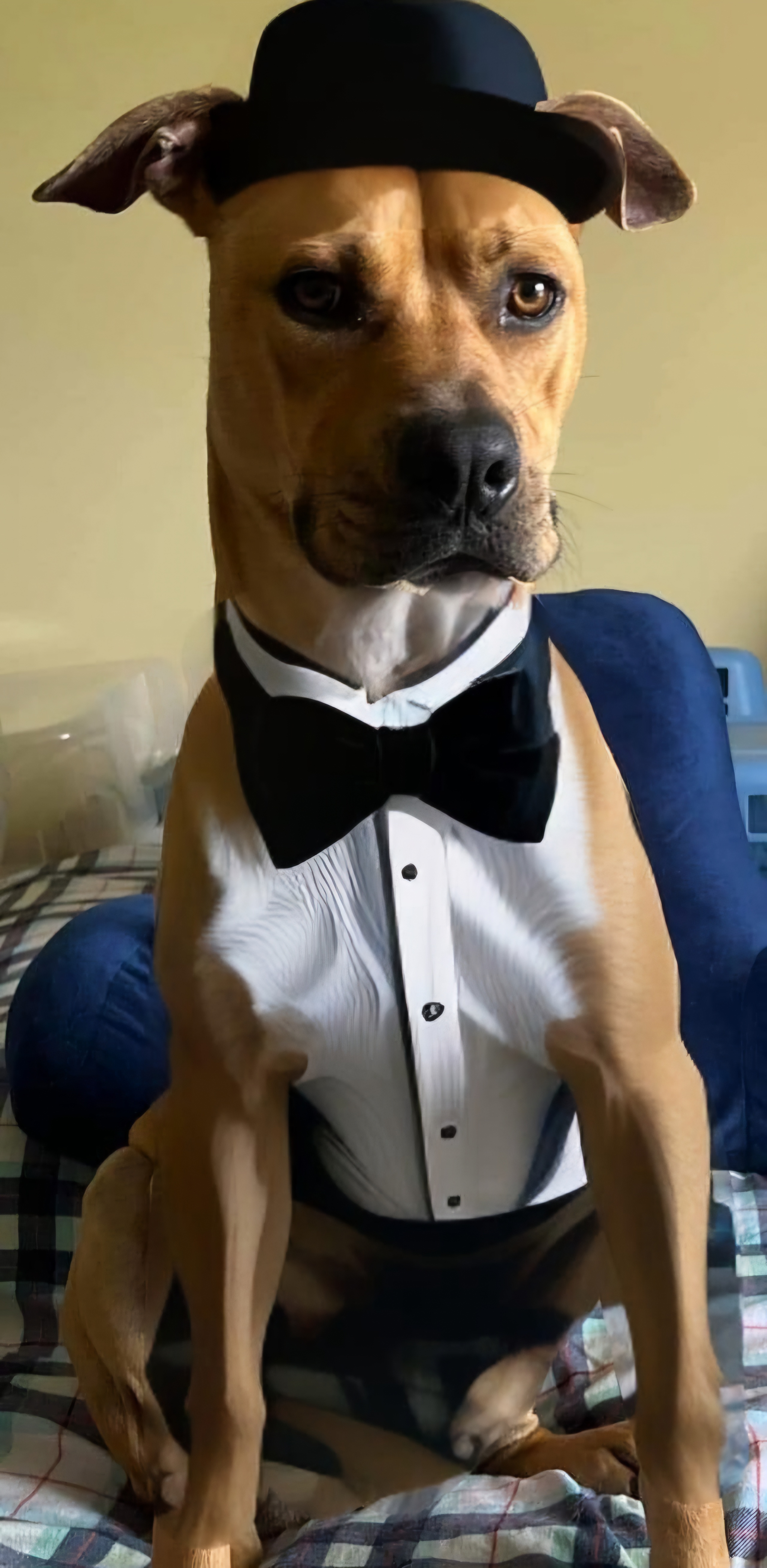 MURPHY
