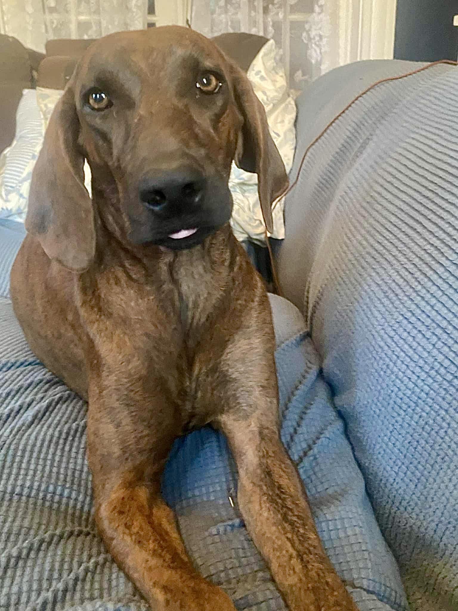 Molly
