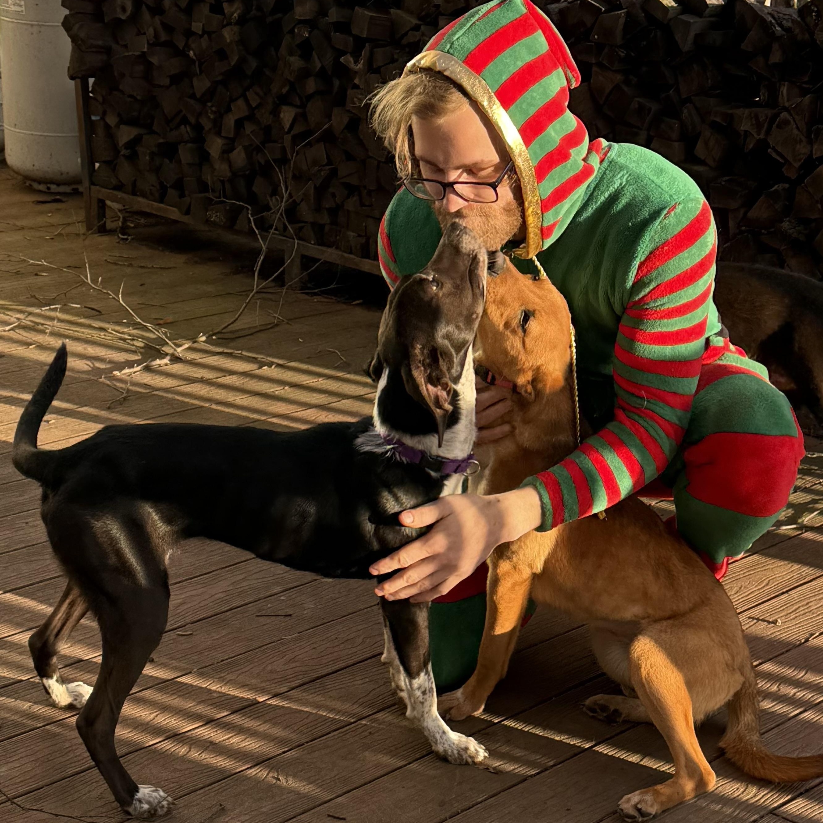 Pearl, Adoptable, Young Female Mixed Breed.