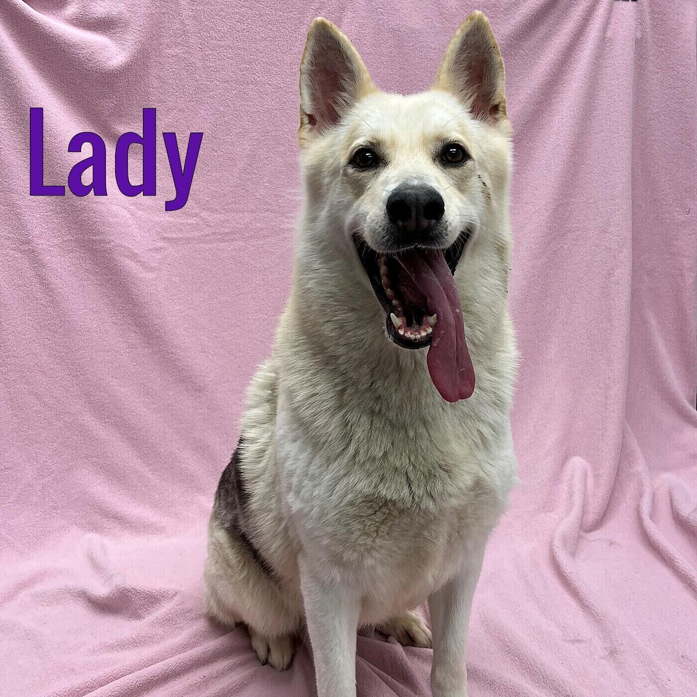 Lady, Adult Female unknown