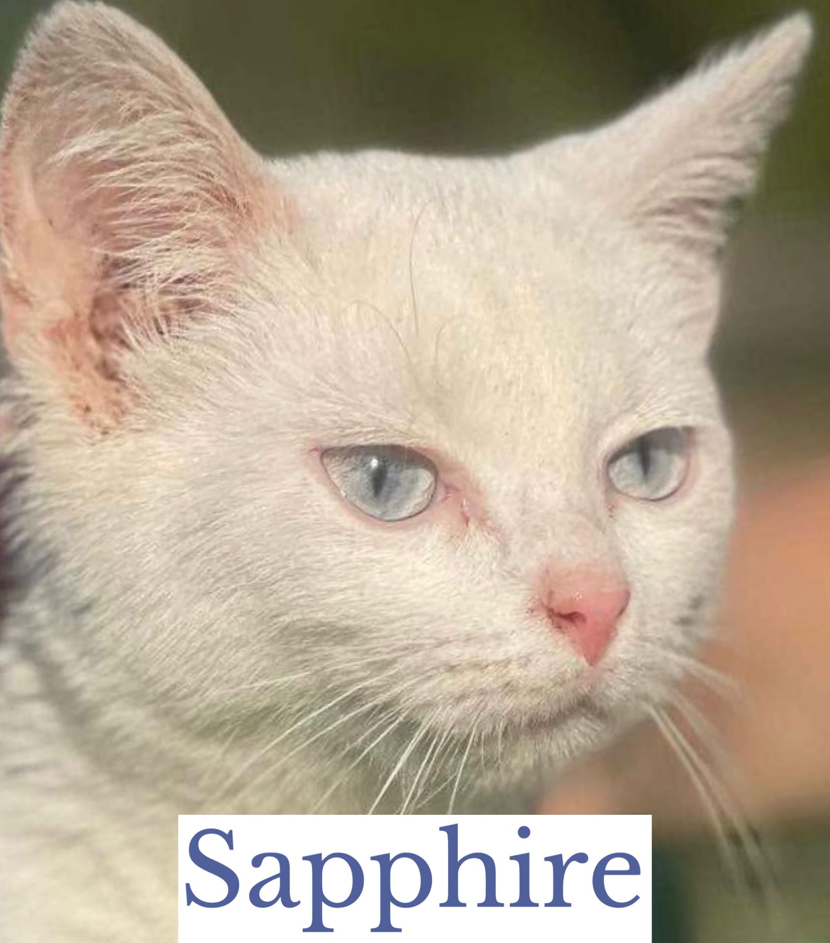 Sapphire