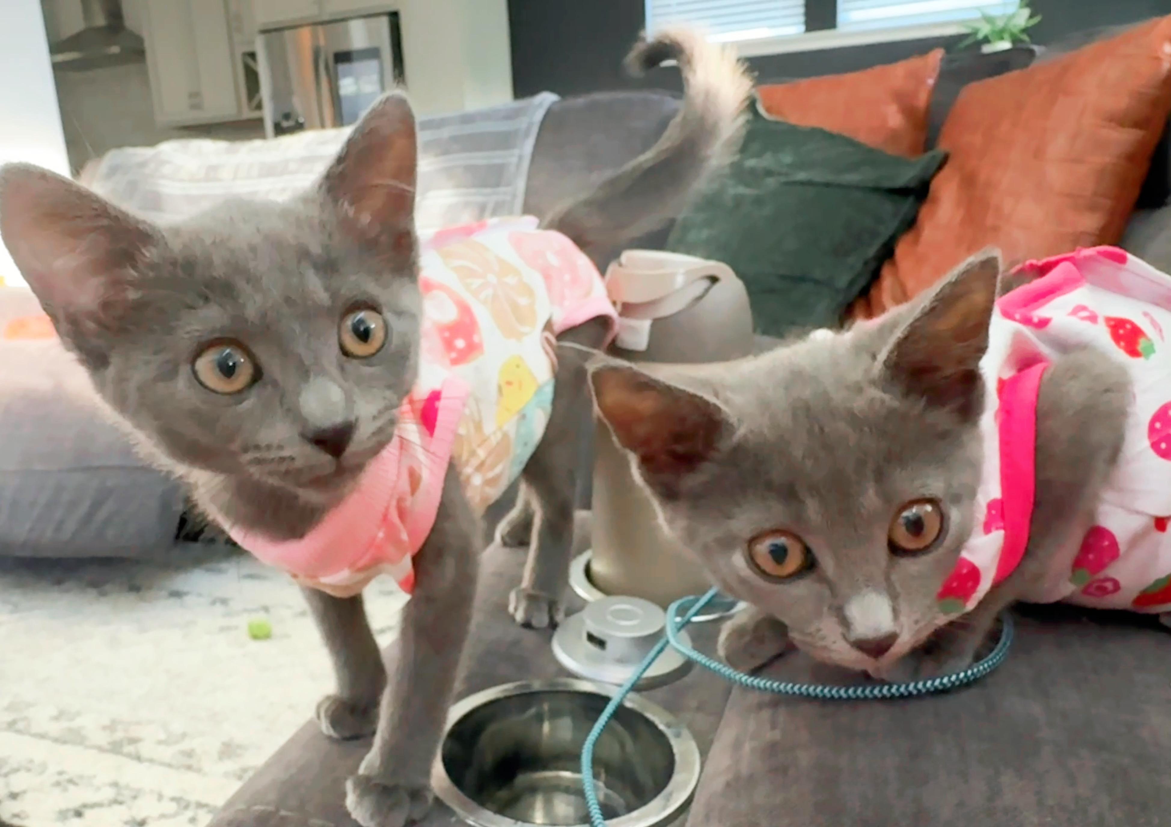 Penny & Poppy
