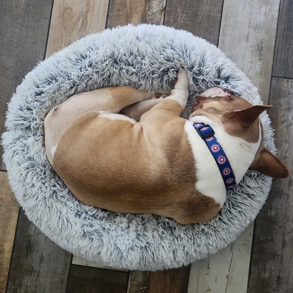 Sir Loin thumbnail 3