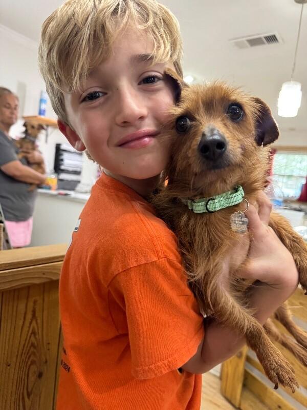 Austin Happyheart Wigglesnout McTreats