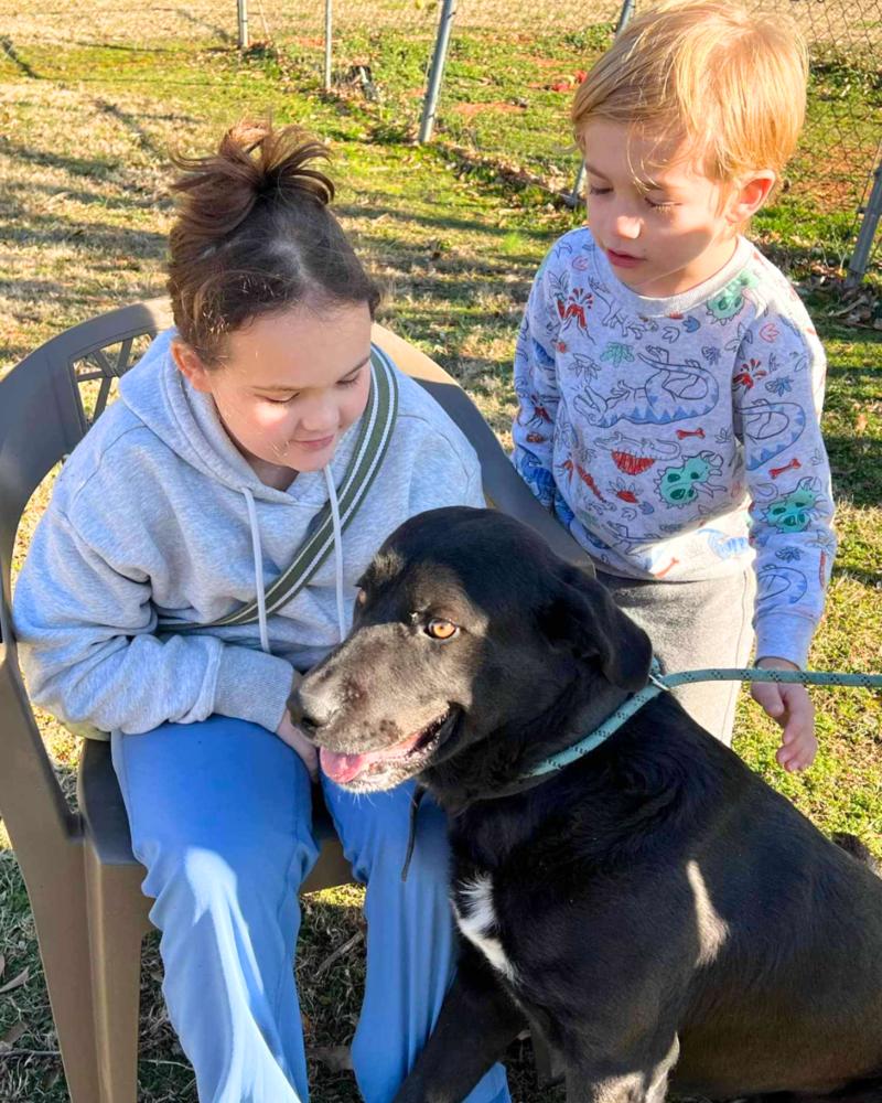 Thompson thumbnail 2