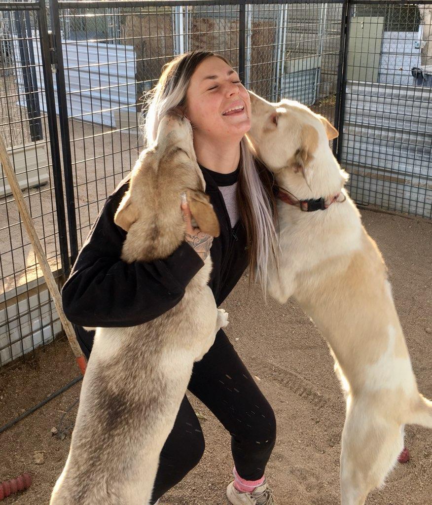Tenor & Bass, a Adoptable mixed breed in Lancaster, CA image 3/12