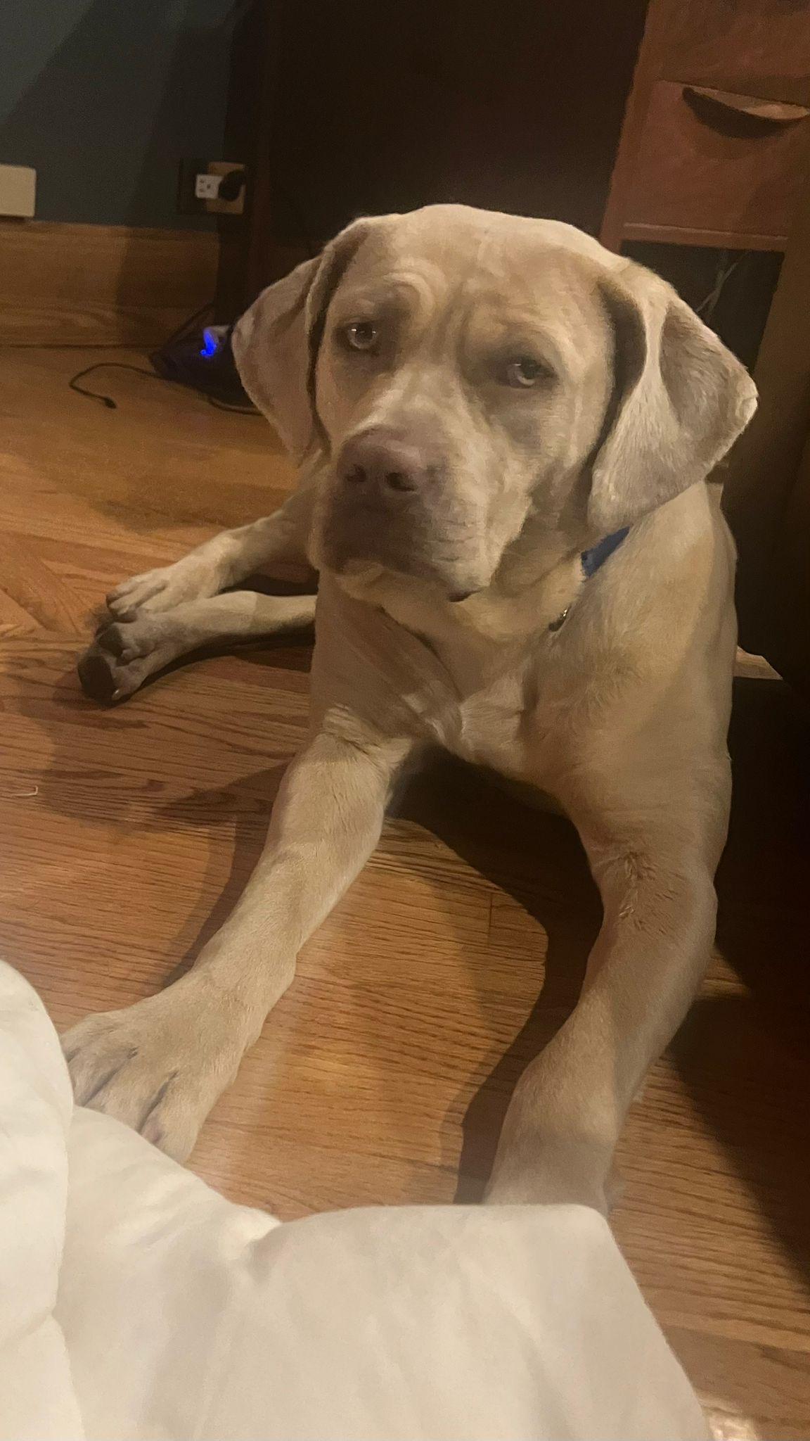 Goldie Hawn thumbnail 4