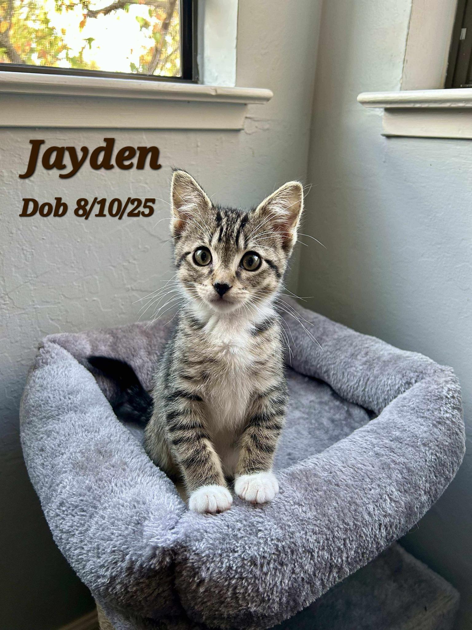 Jayden