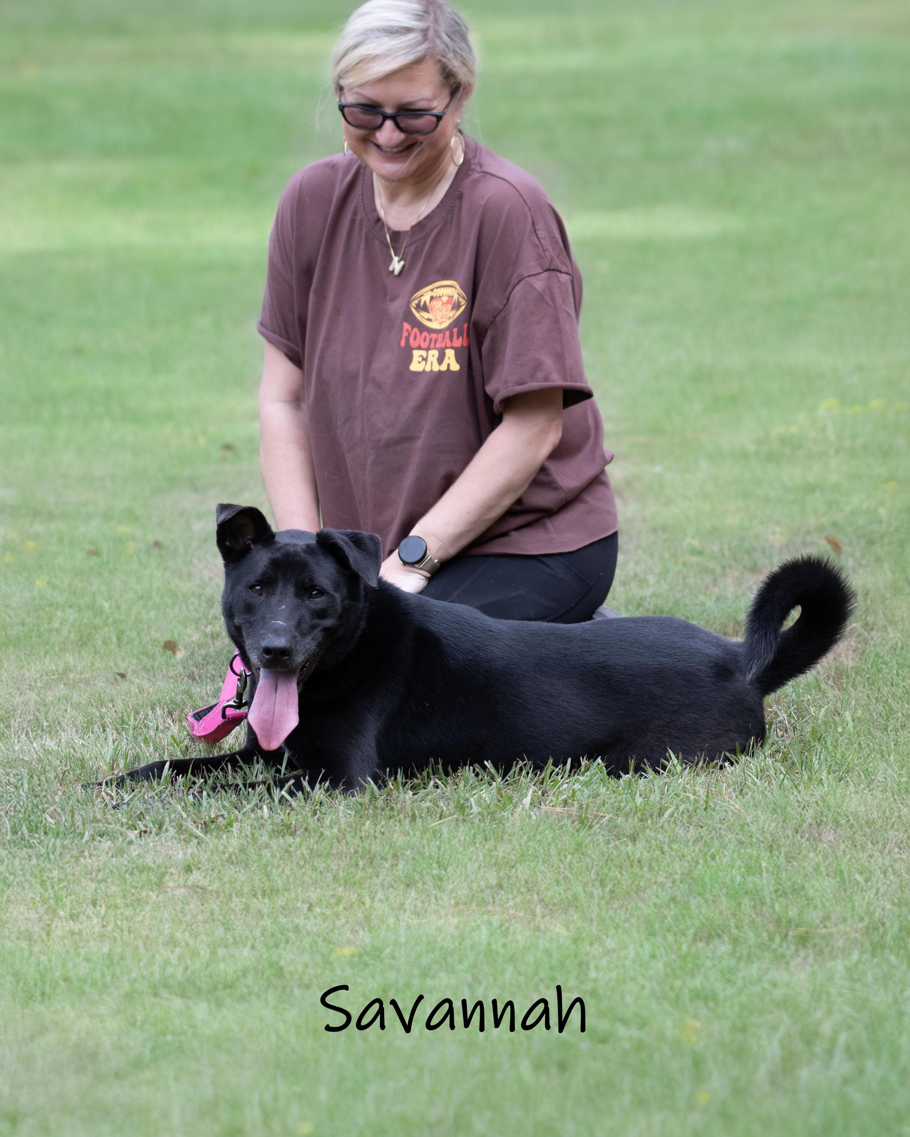 Enlarge Savannah, a ADOPTABLE mixed breed in Bishop, GA image 5/6
