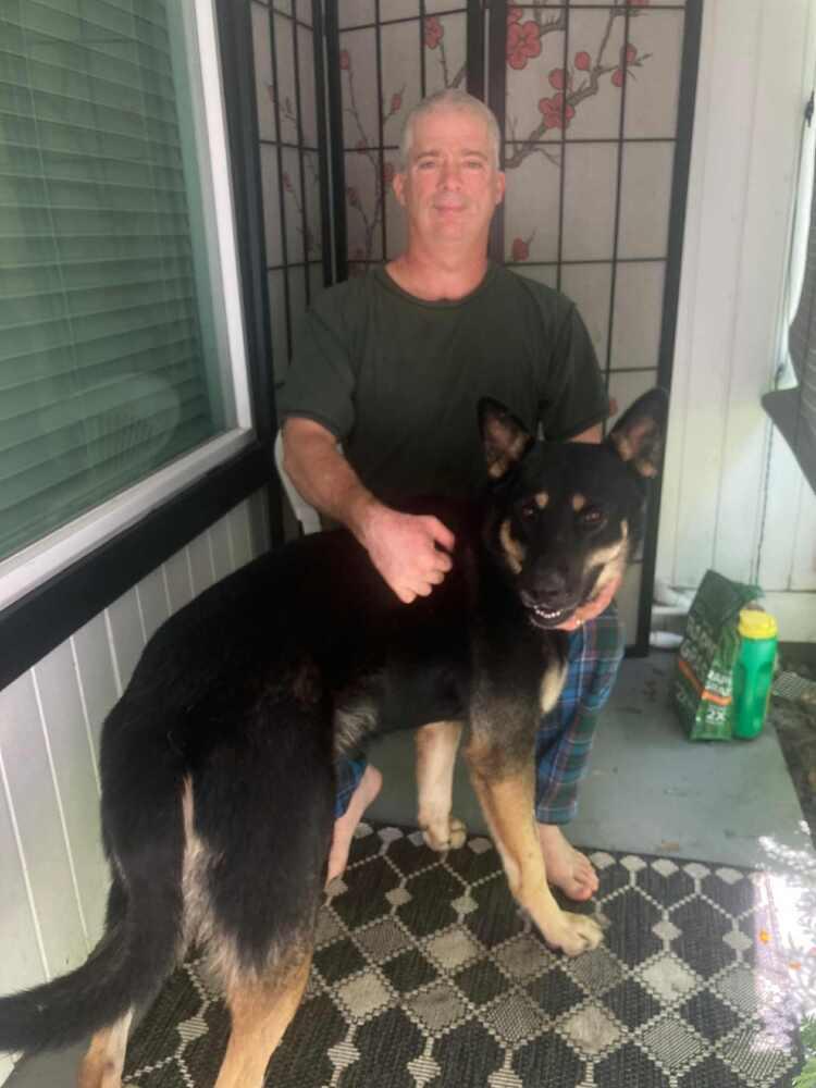 Enlarge 25-055 Sam, a Adoptable mixed breed in Richardson, TX image 6/6