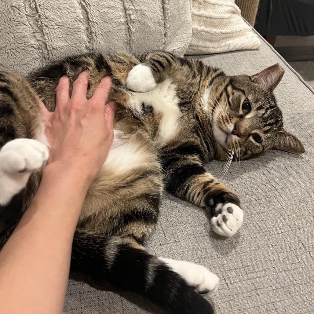 Seymour — thumbnail 2