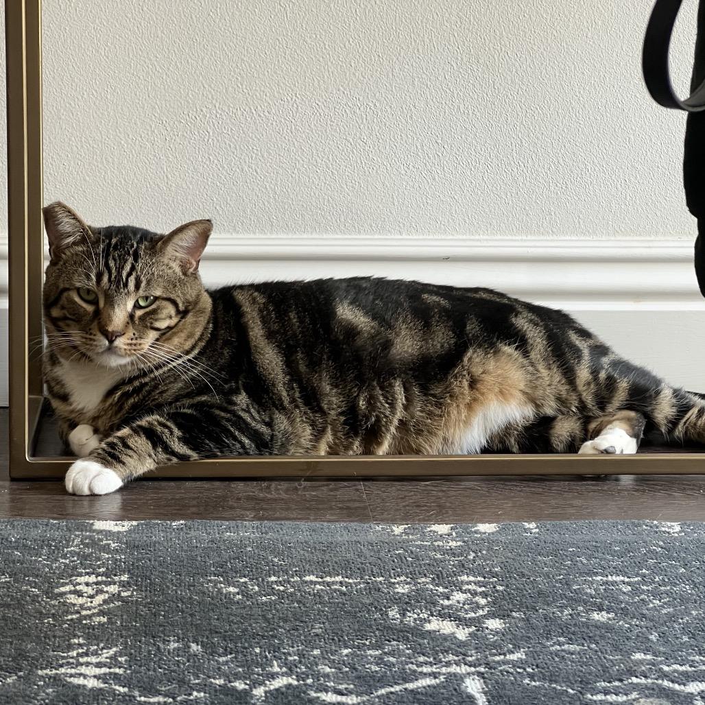 Seymour — thumbnail 3