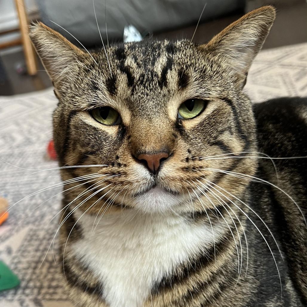 Seymour — thumbnail 4