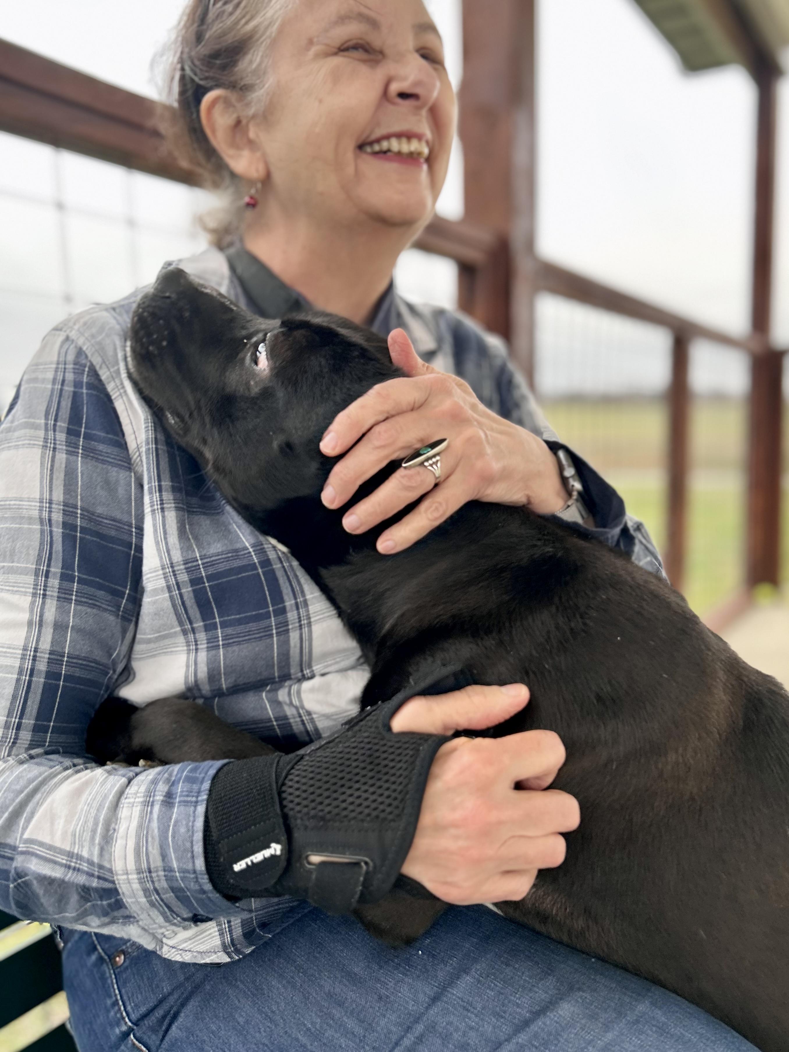 Enlarge Midnight, an adopted Mixed Breed in Franklin, KY image 4/6