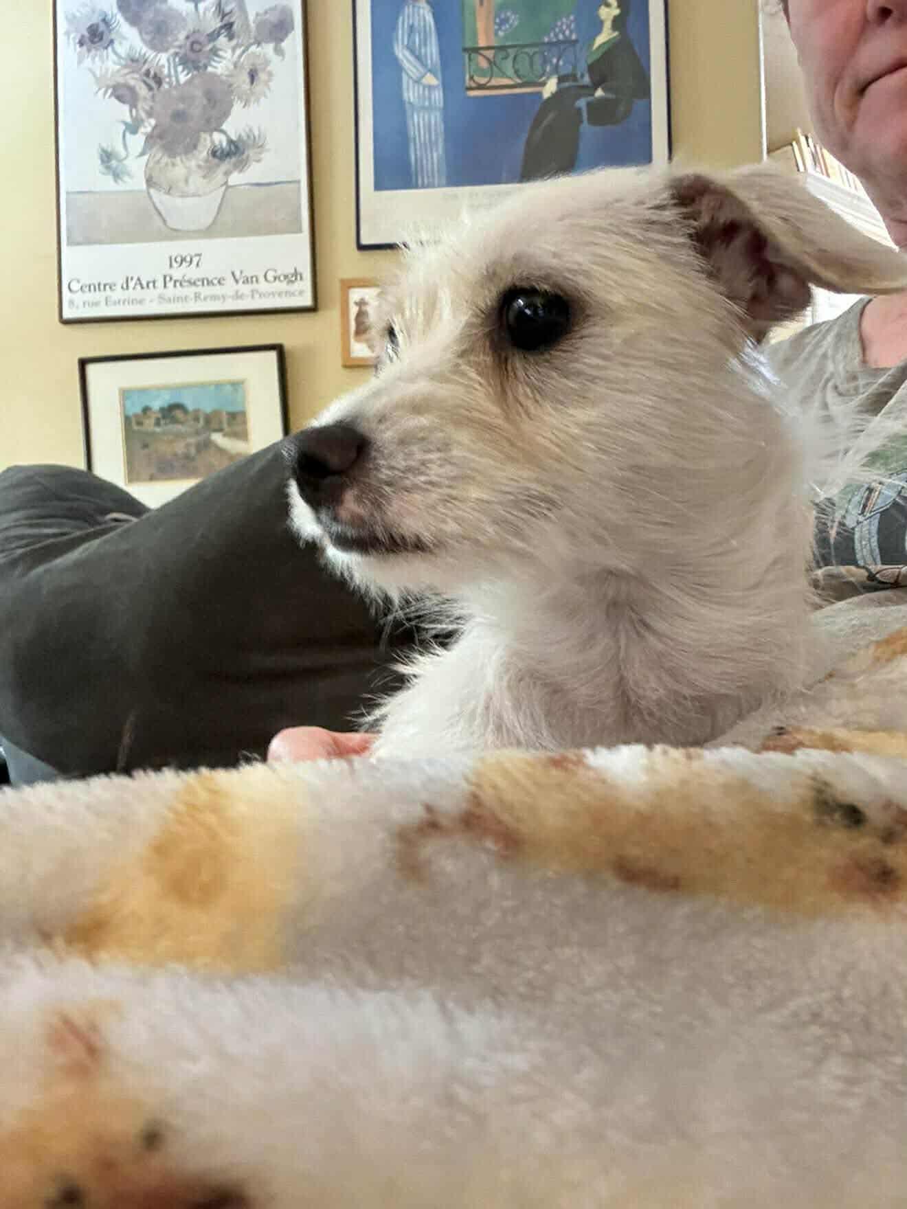 Linda Arriving thumbnail 2