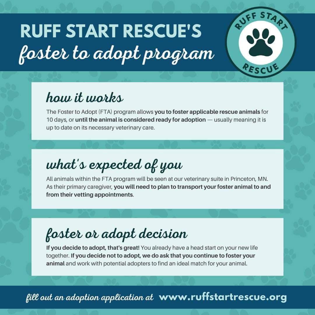 Linda Arriving thumbnail 3