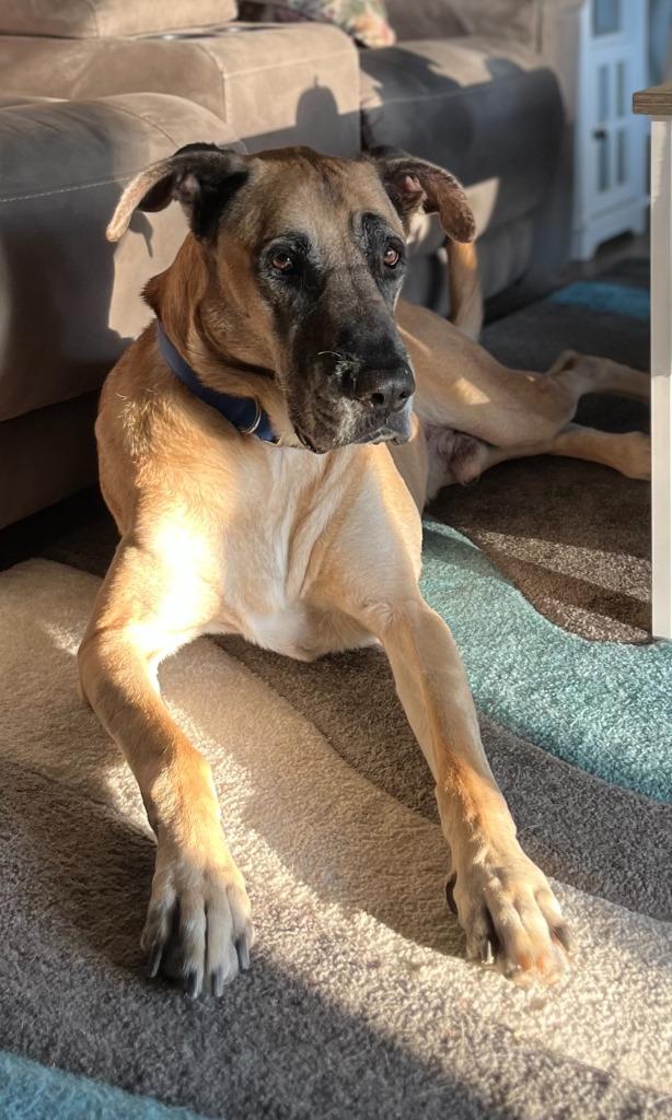 Peanut — thumbnail 2