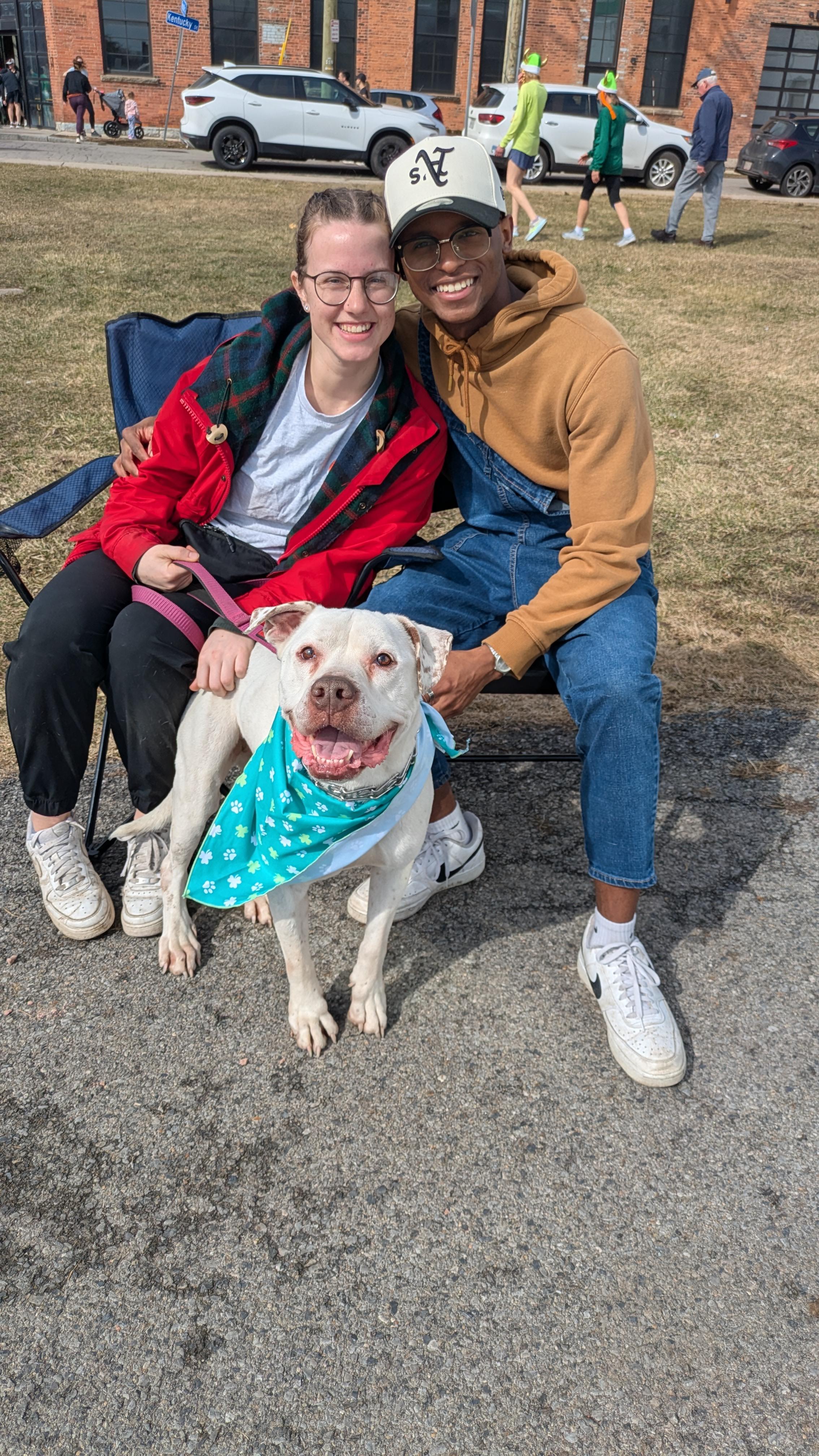 Enlarge Bella, a ADOPTABLE mixed breed in Buffalo, NY image 2/5