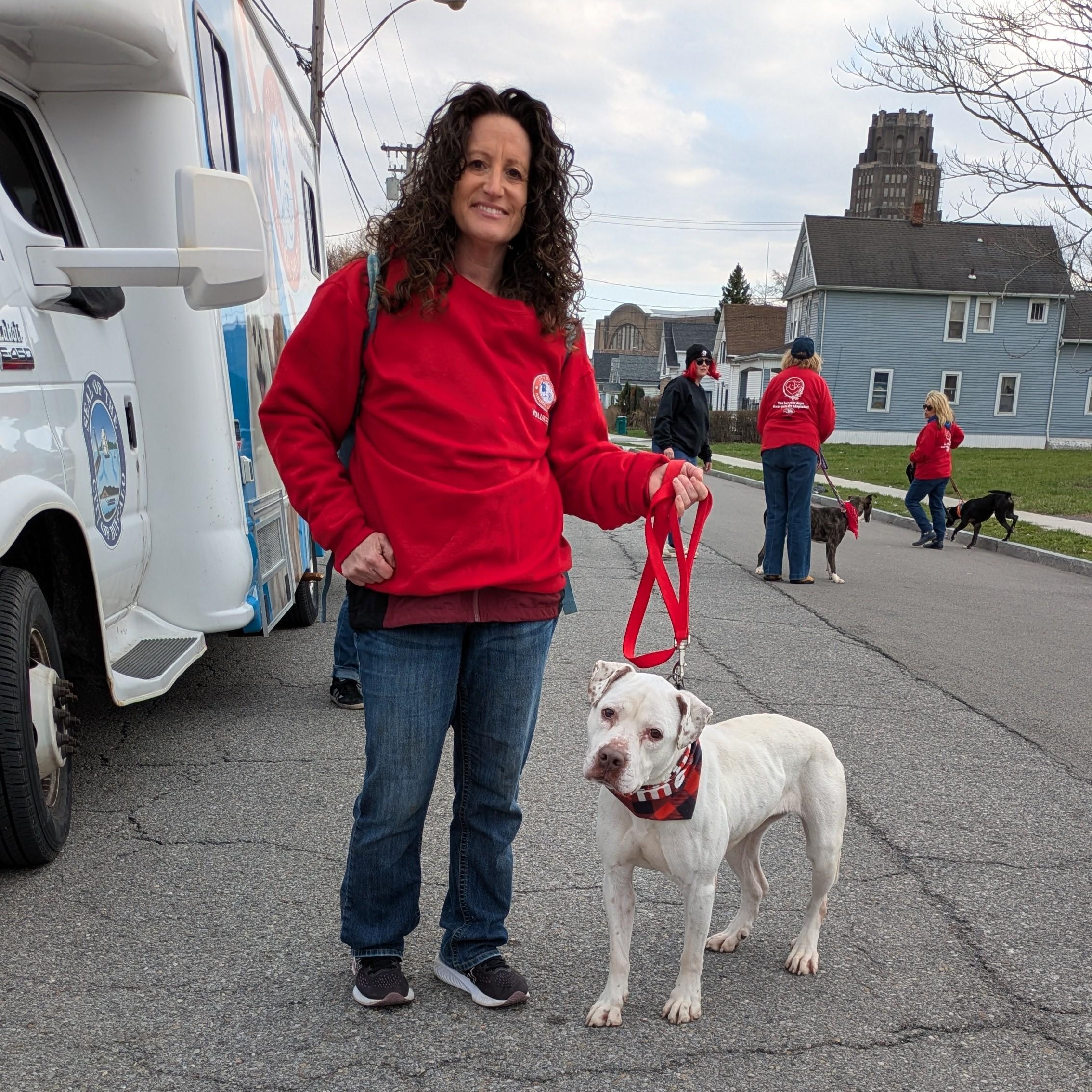 Enlarge Bella, a ADOPTABLE mixed breed in Buffalo, NY image 5/6