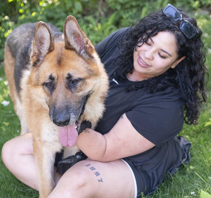 Enlarge Kyrie, a ADOPTABLE German Shepherd Dog in Chicago, IL image 4/6