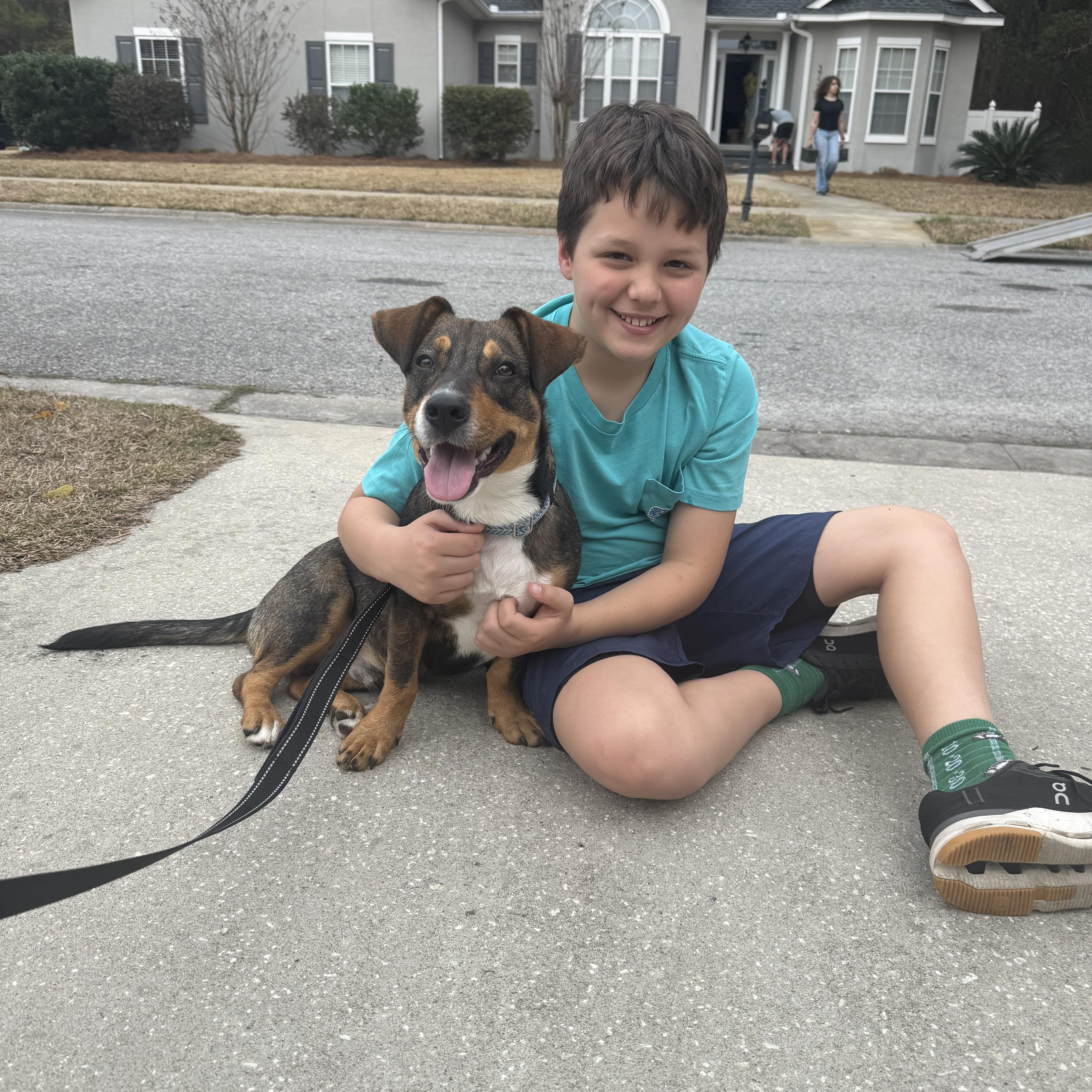 Enlarge Shorty, an adopted mixed breed in Hillsdale, NY image 2/4