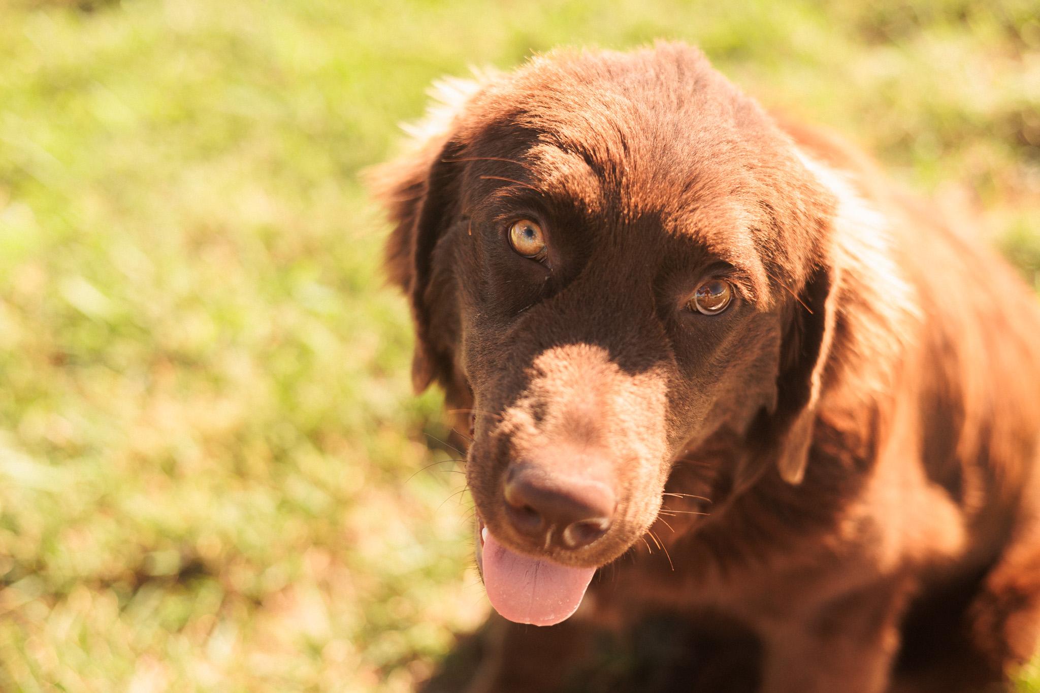 Clementine thumbnail 3