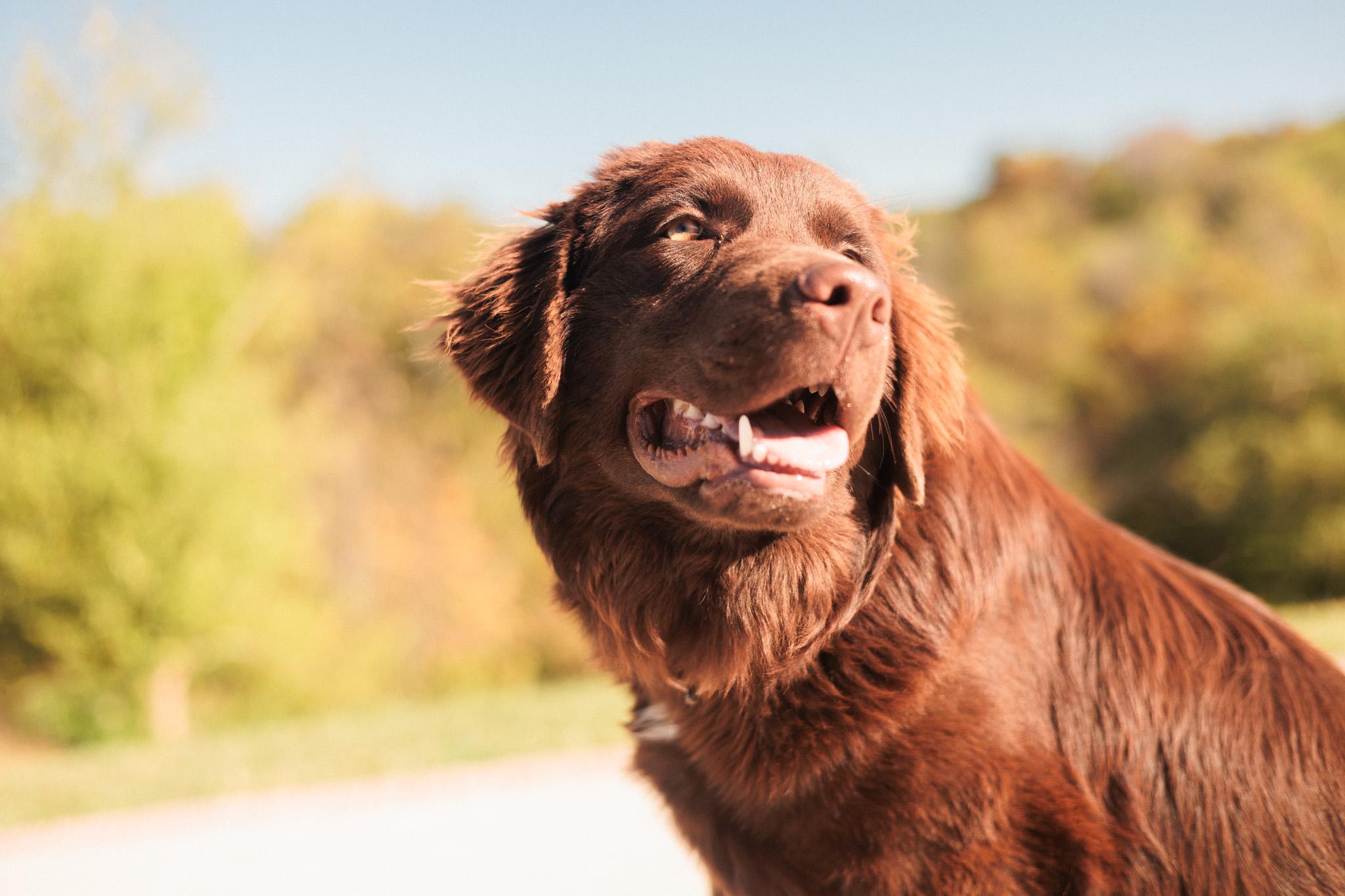 Clementine thumbnail 5