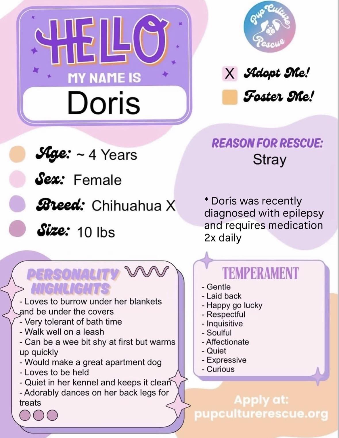 Enlarge Doris, a Adoptable mixed breed in Pasadena, CA image 2/6