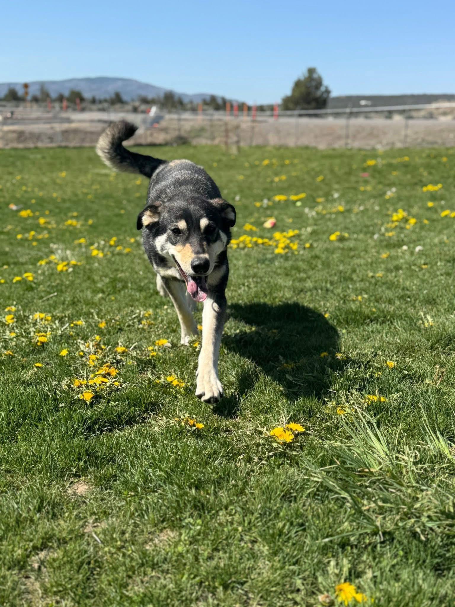 Alaska
