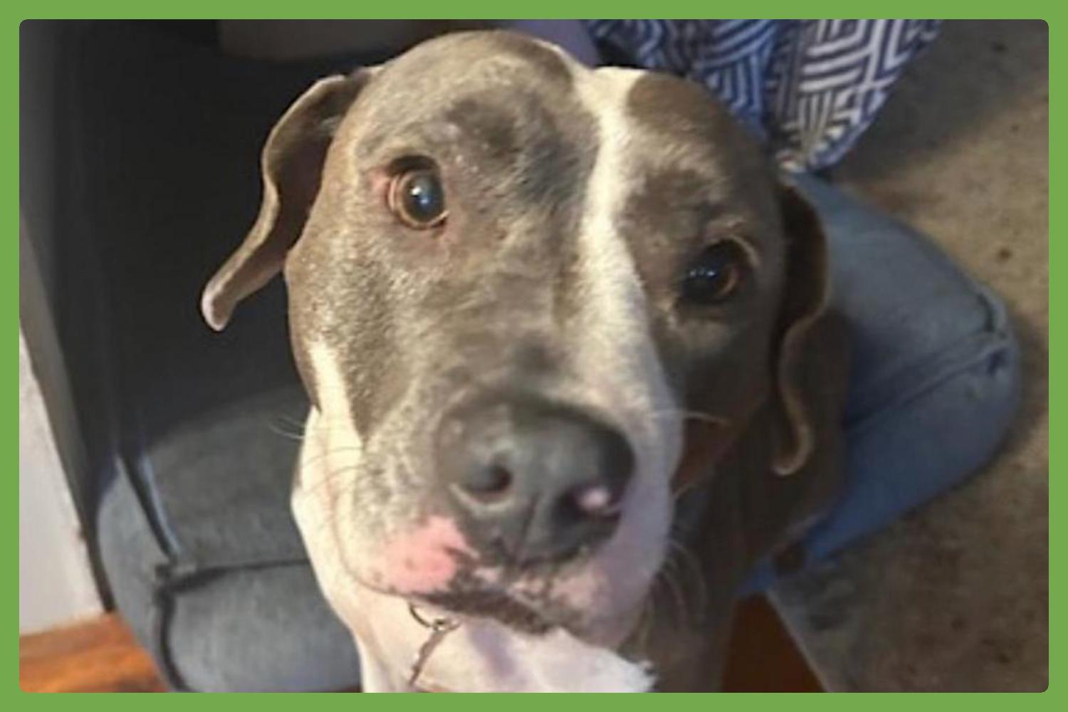 Sky, Senior Female unknown