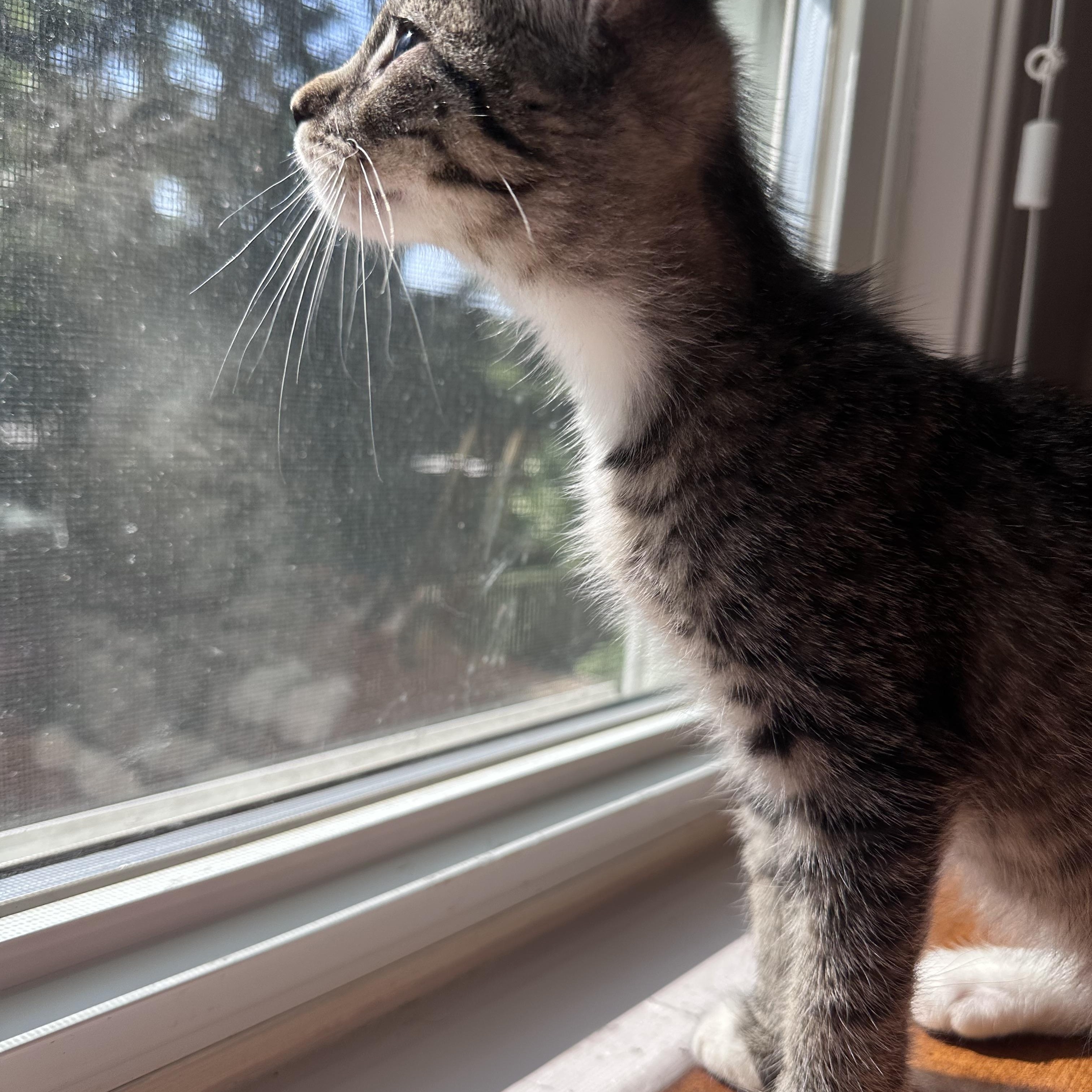 Dottie photo 5