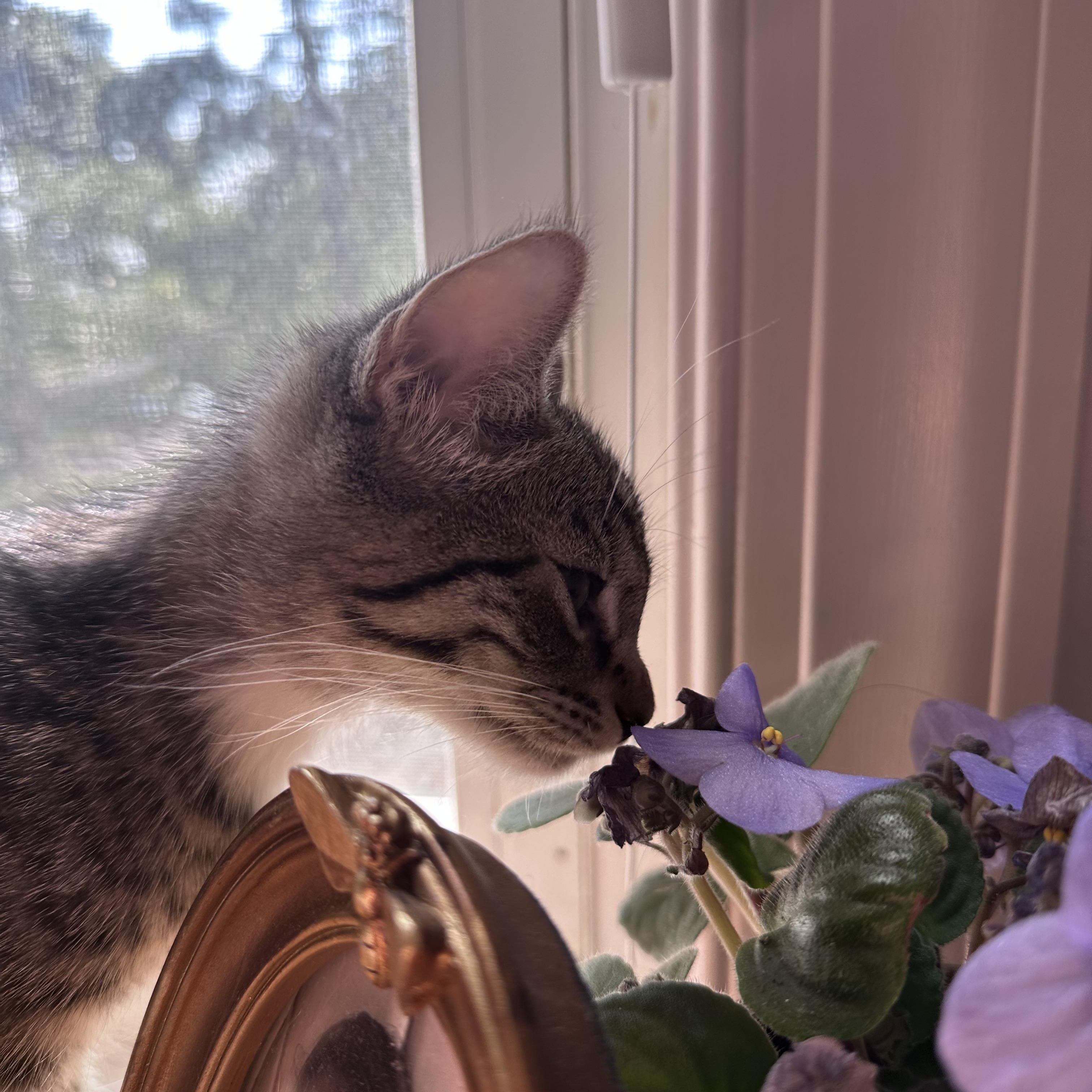 Dottie photo 4