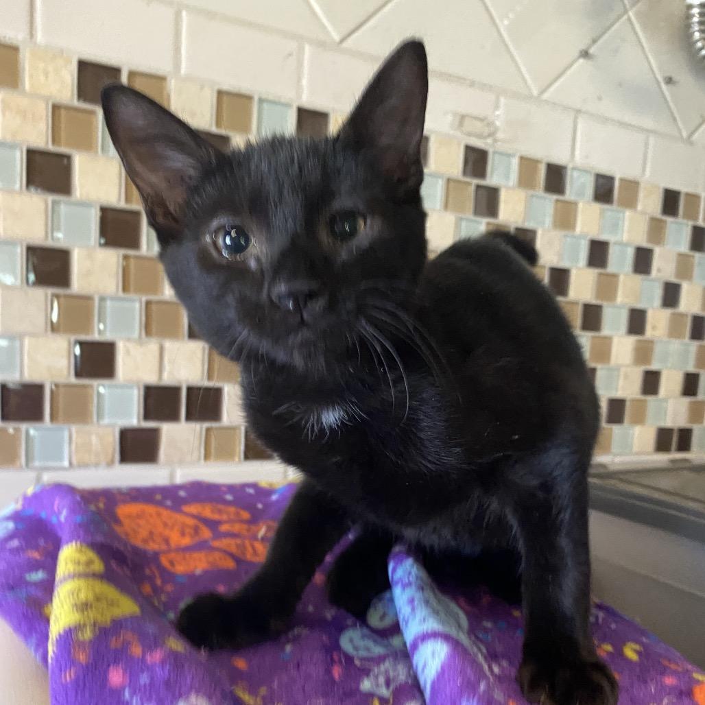 Donnie Darko thumbnail 2