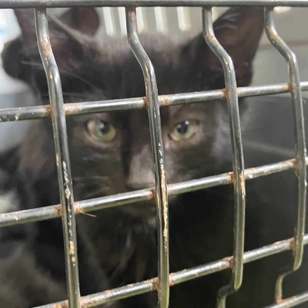 Donnie Darko thumbnail 3