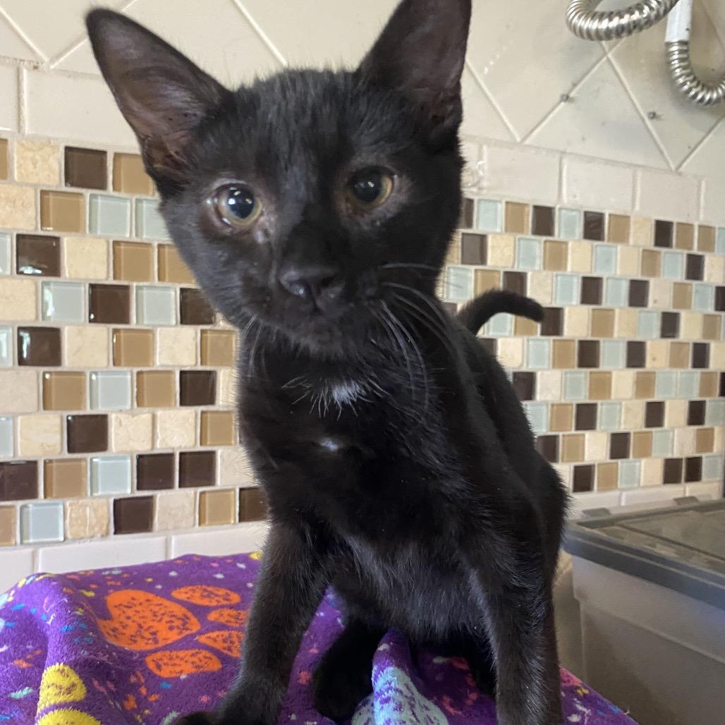 Donnie Darko thumbnail 4