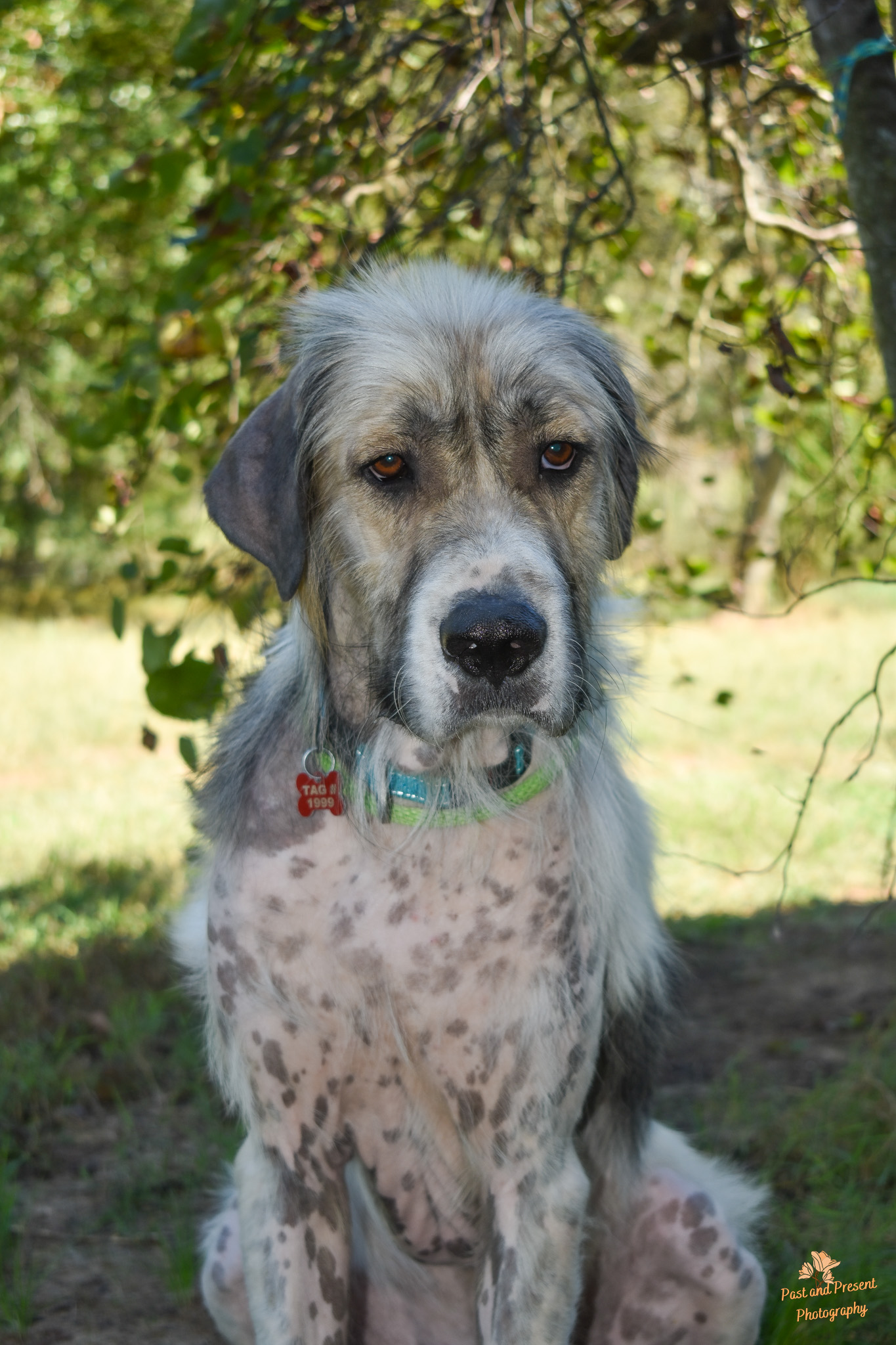 Emmit